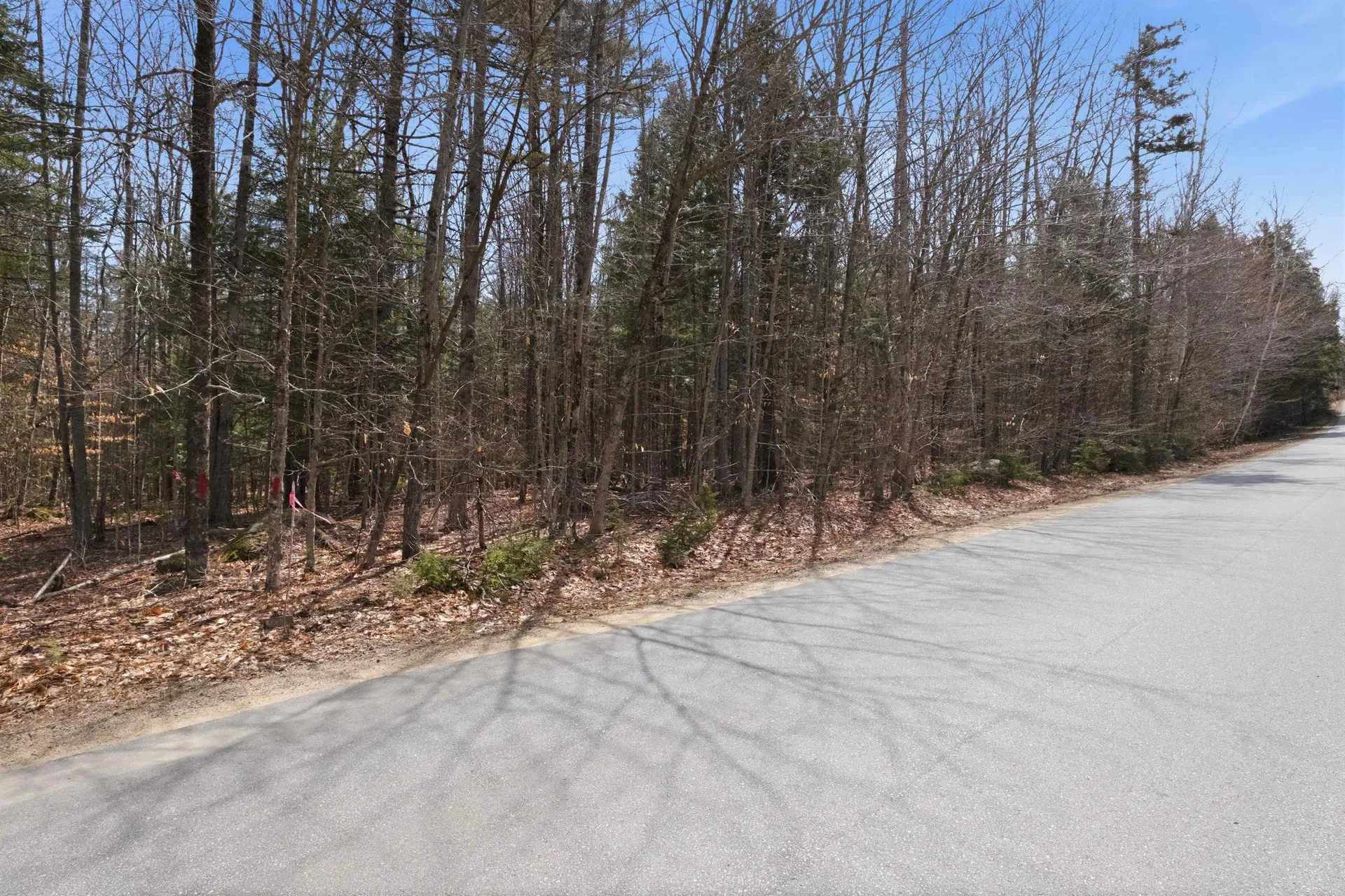 0 Puckerbrush Road Campton NH 03223