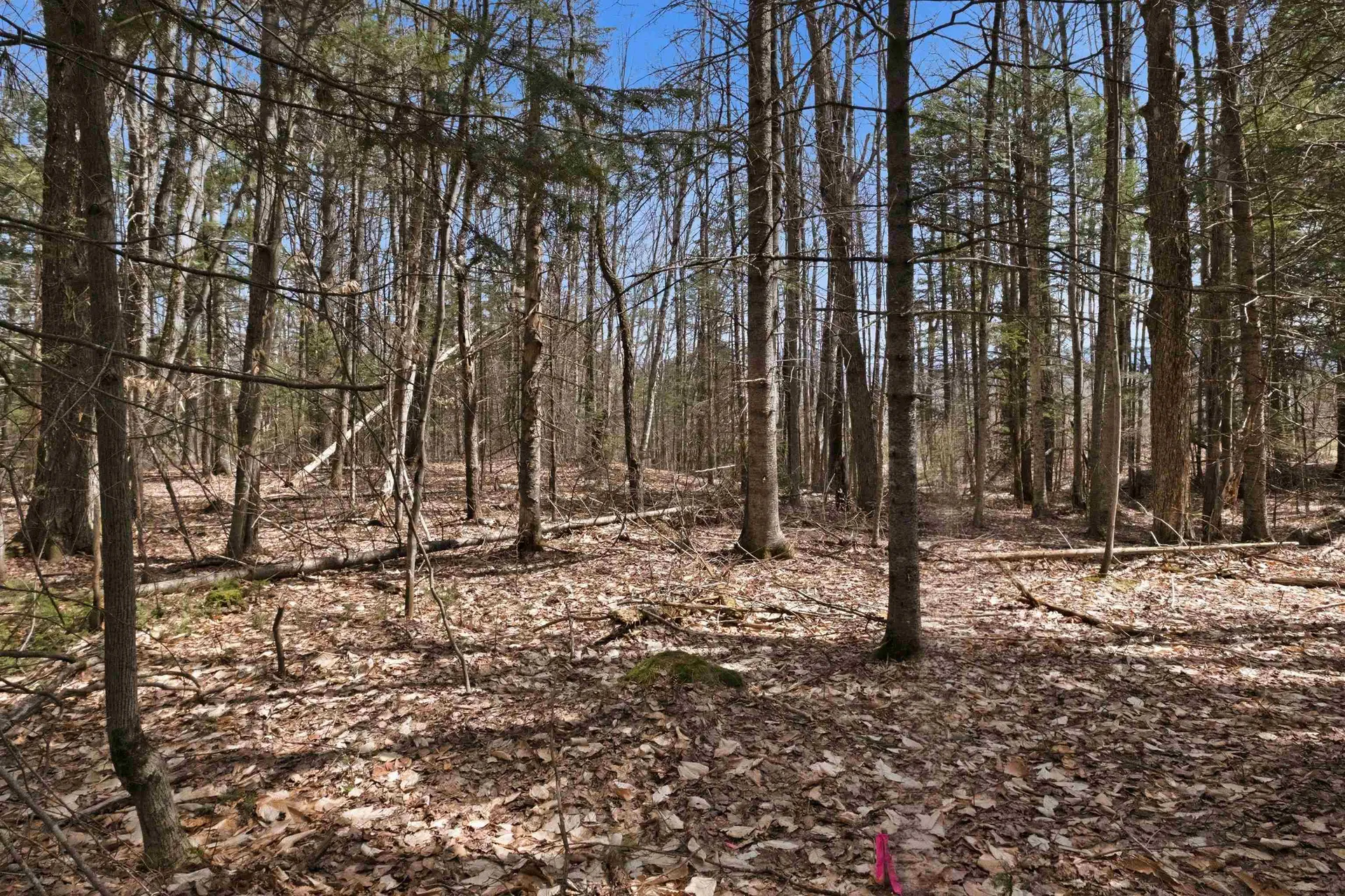 0 Puckerbrush Road Campton NH 03223