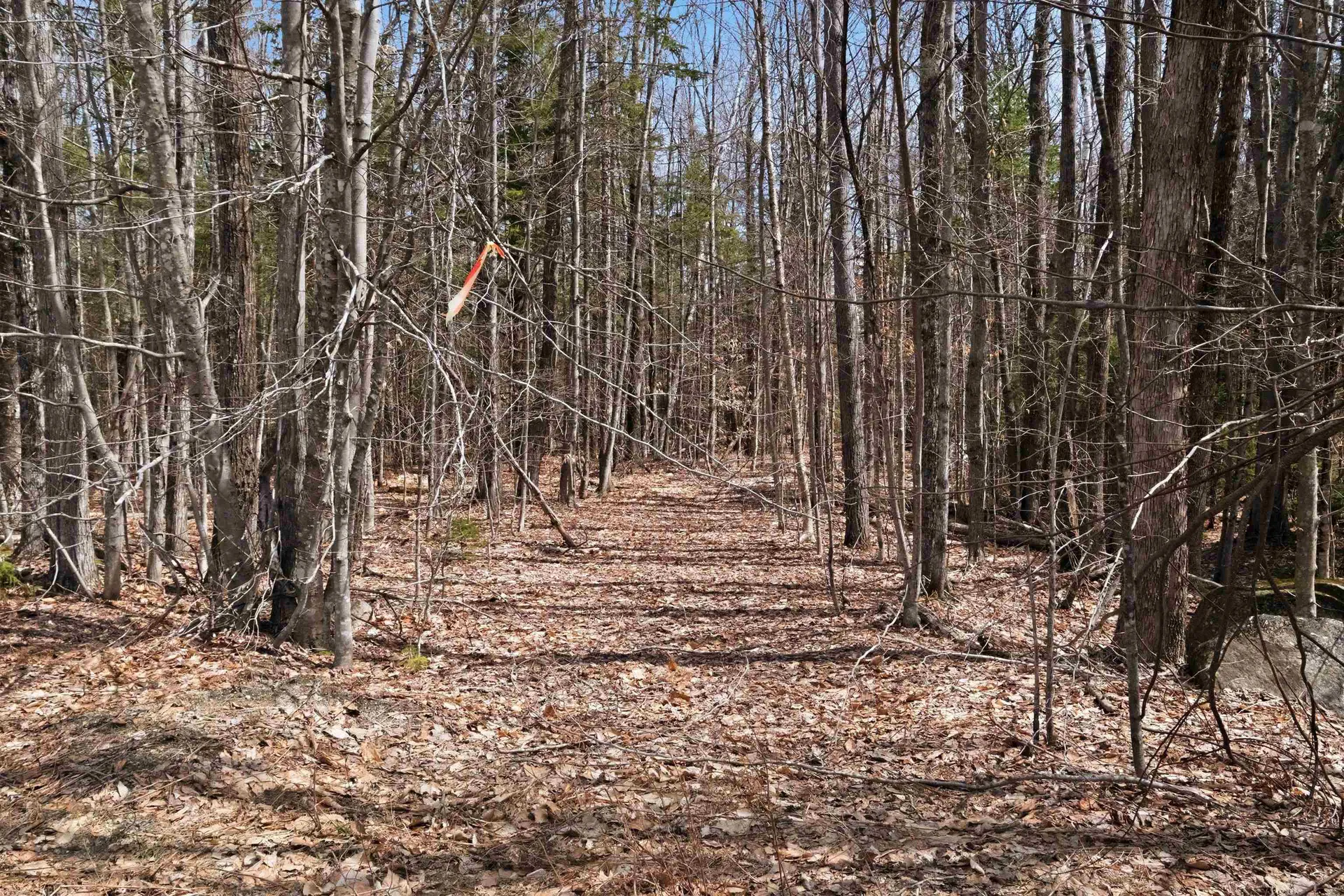 0 Puckerbrush Road Campton NH 03223