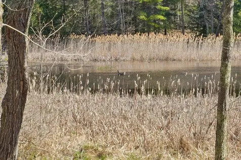 88 Patten Hill Road Candia NH 03034
