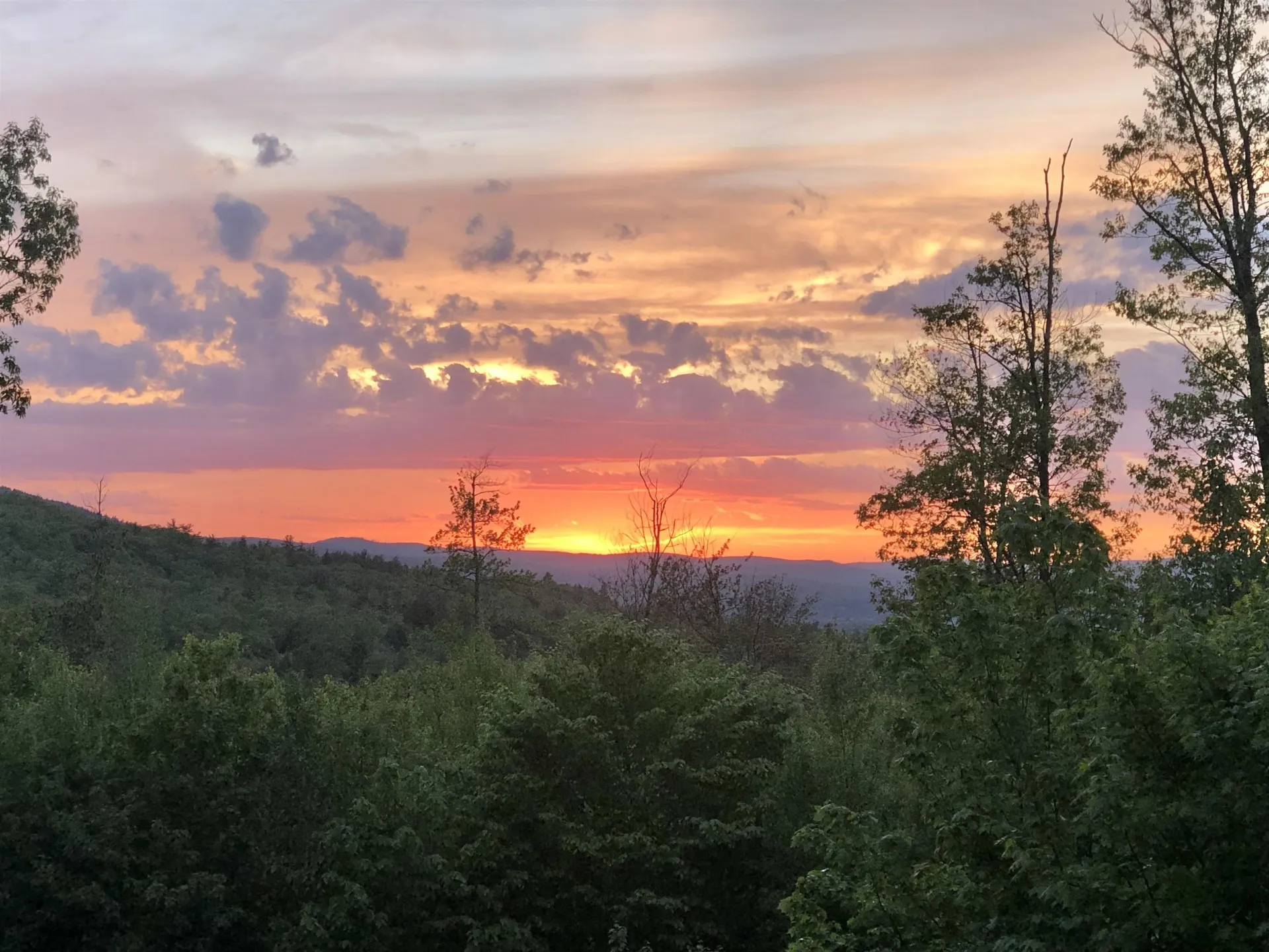 276 Old County Road Deering NH 03244
