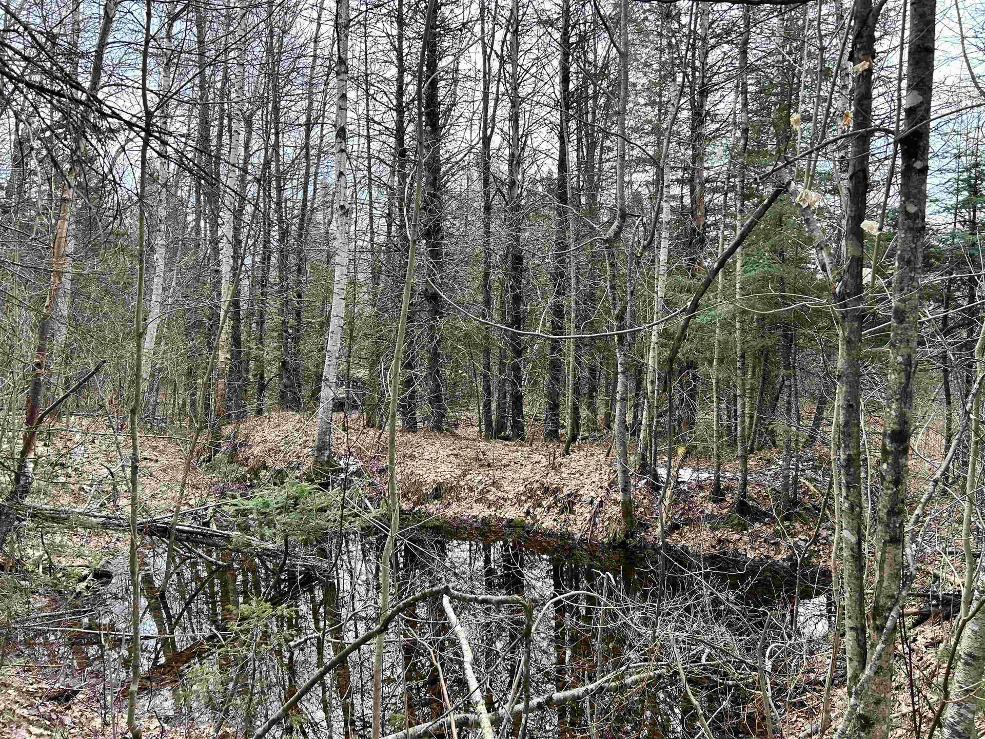 0 Norway Road Stannard VT 05842