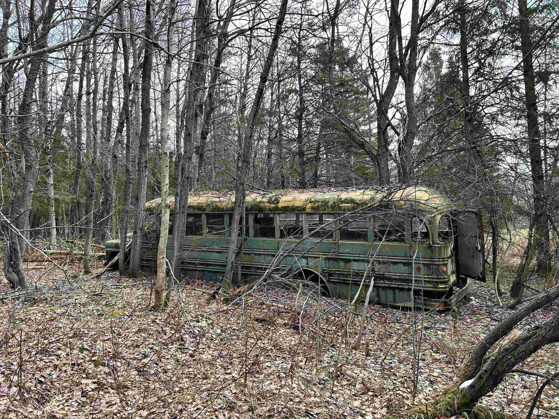 0 Norway Road Stannard VT 05842