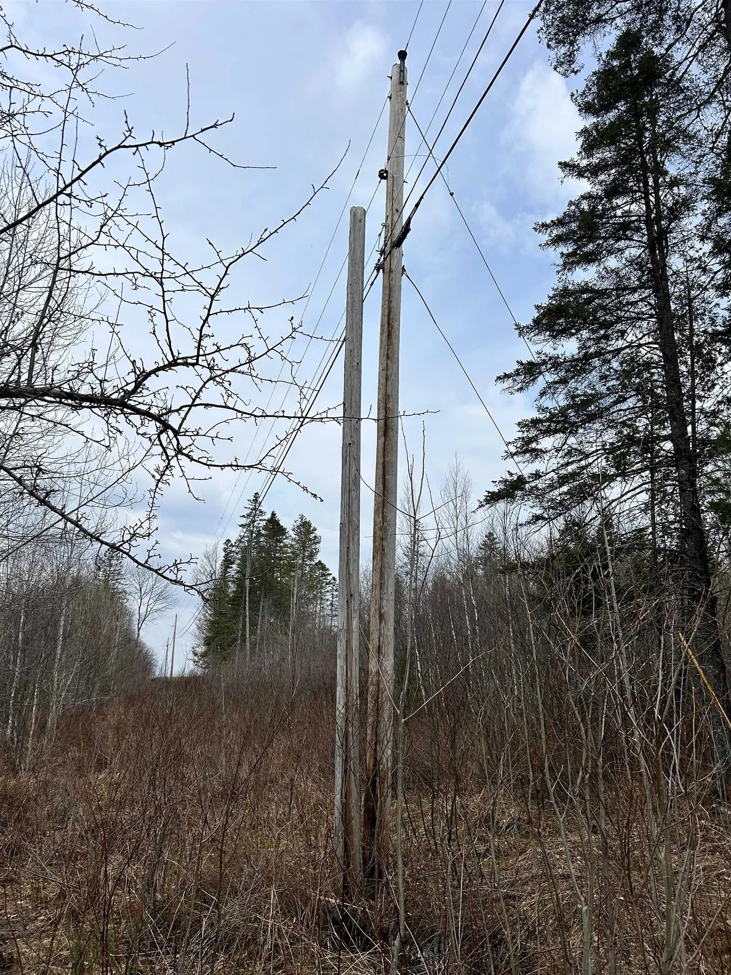 0 Norway Road Stannard VT 05842