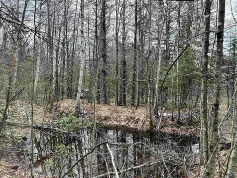 0 Norway Road Stannard VT 05842