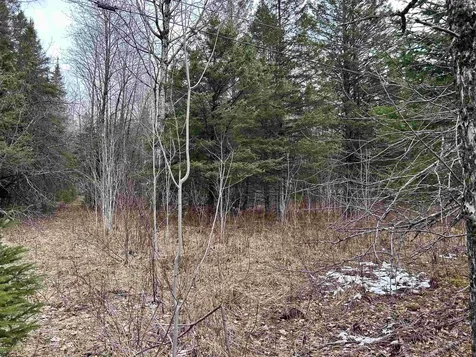 0 Norway Road Stannard VT 05842