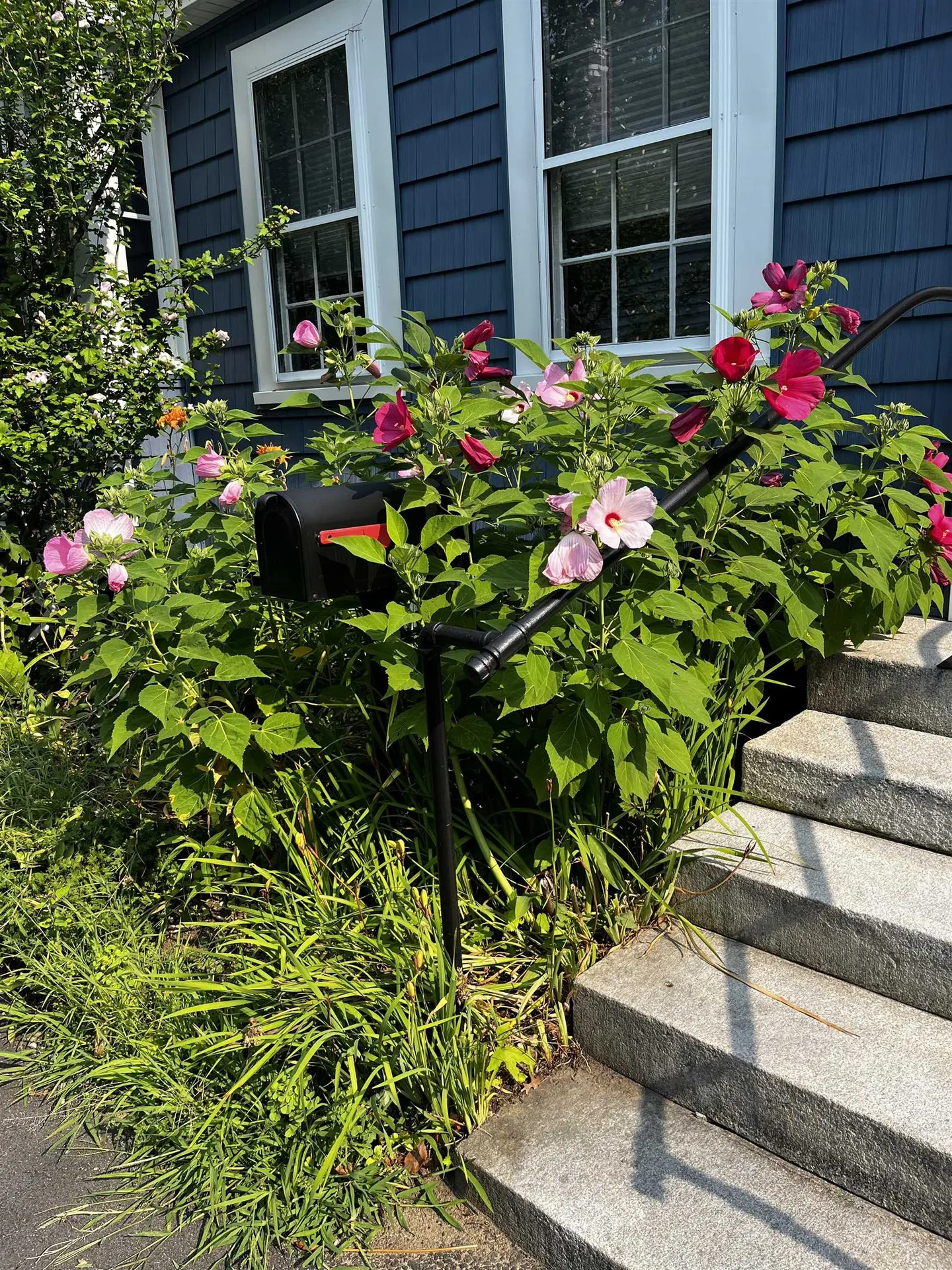 36 1/2 S Spring Street Concord NH 03301