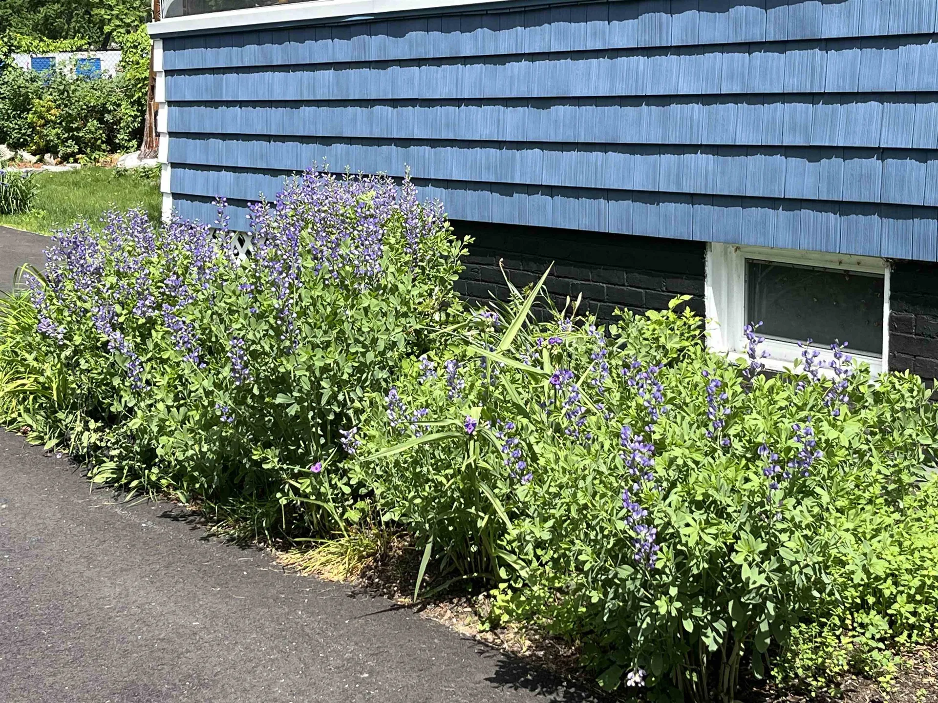 36 1/2 S Spring Street Concord NH 03301