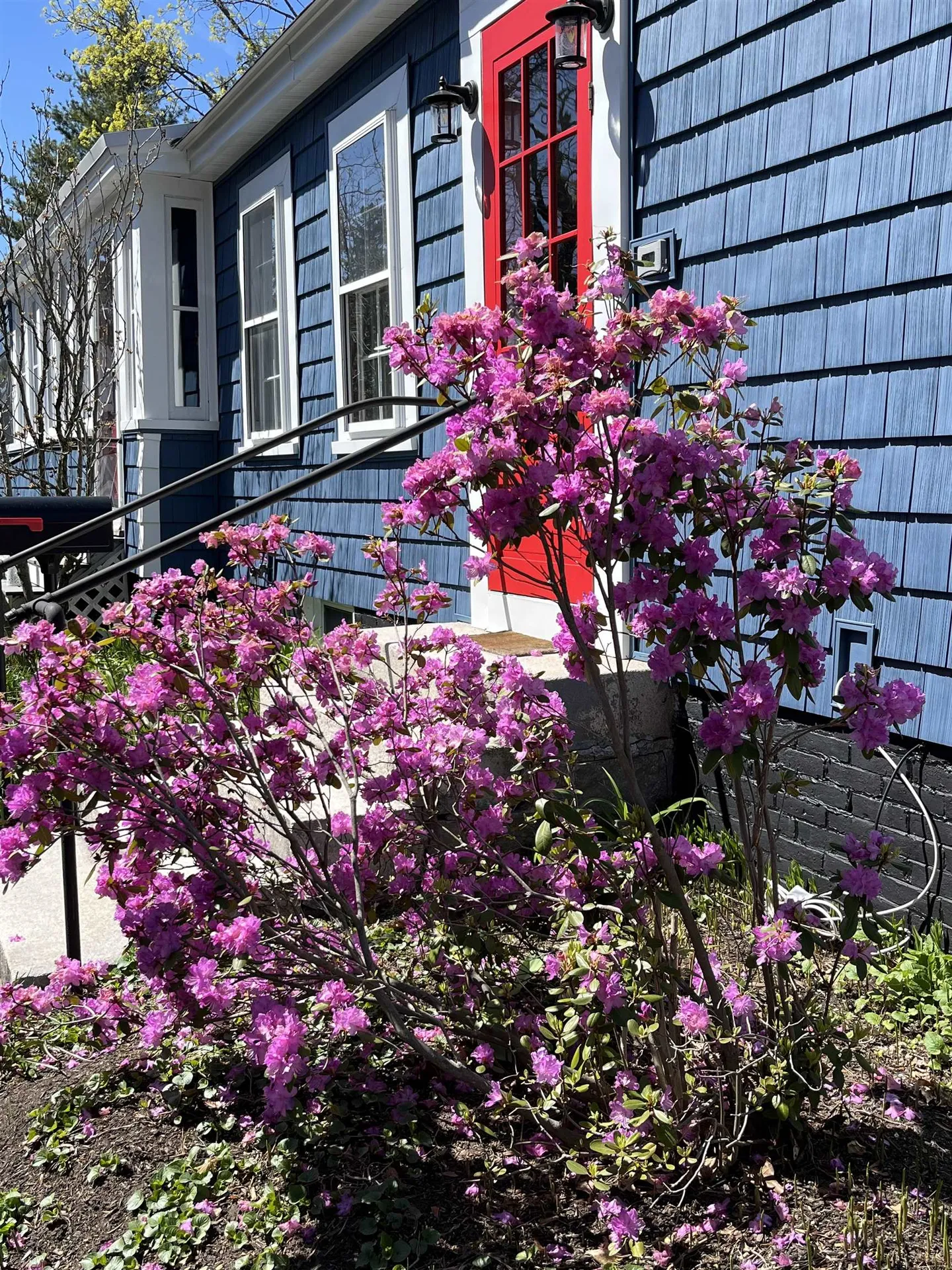 36 1/2 S Spring Street Concord NH 03301