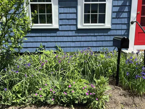 36 1/2 S Spring Street Concord NH 03301
