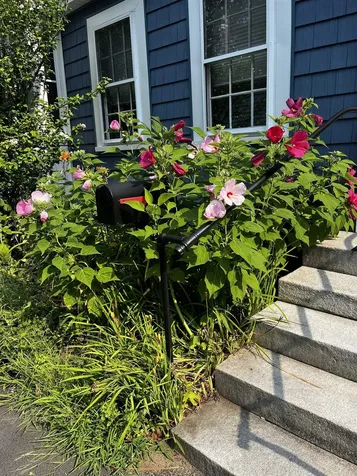 36 1/2 S Spring Street Concord NH 03301