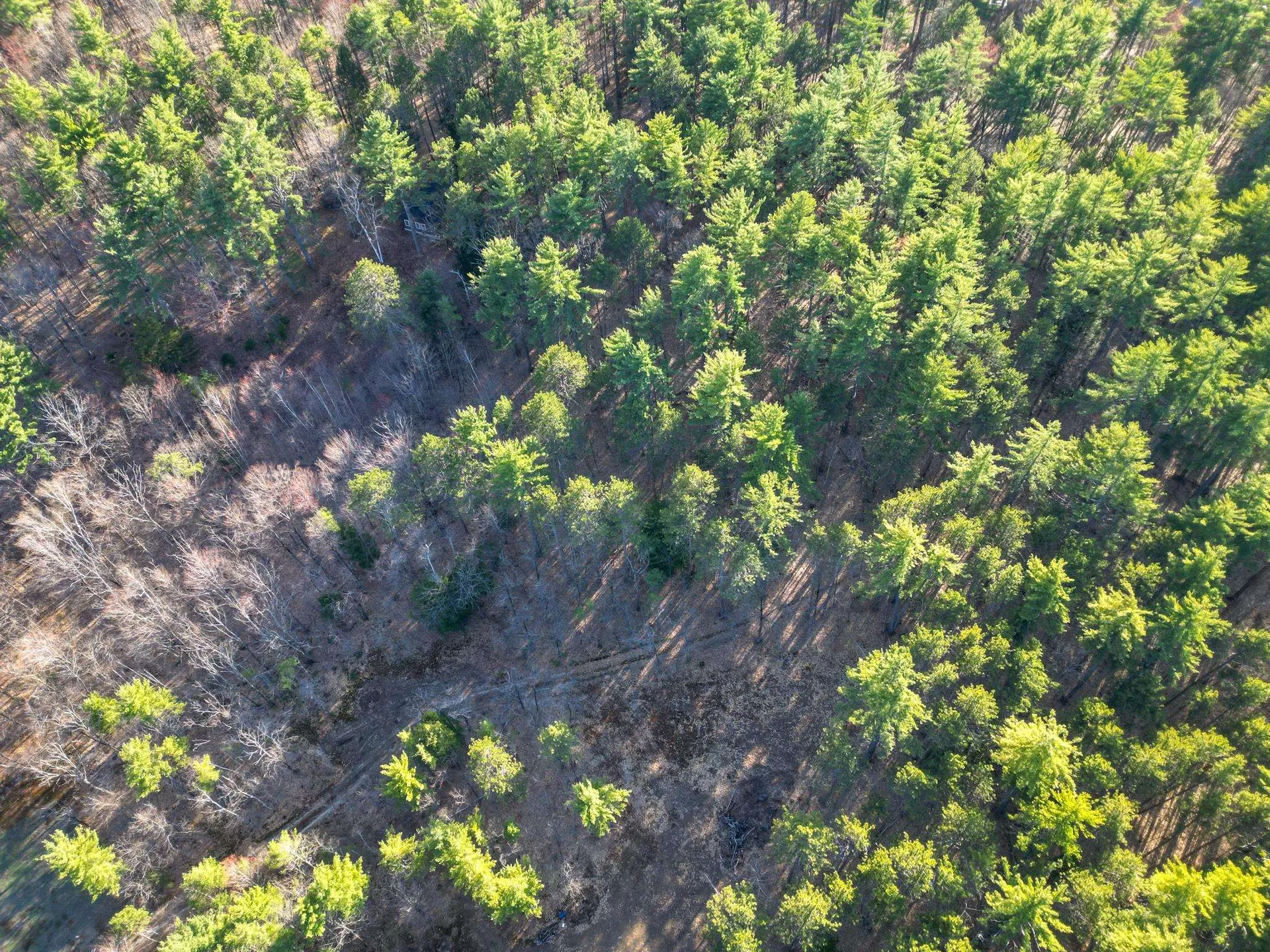 2500 West Side Road Conway NH 03860