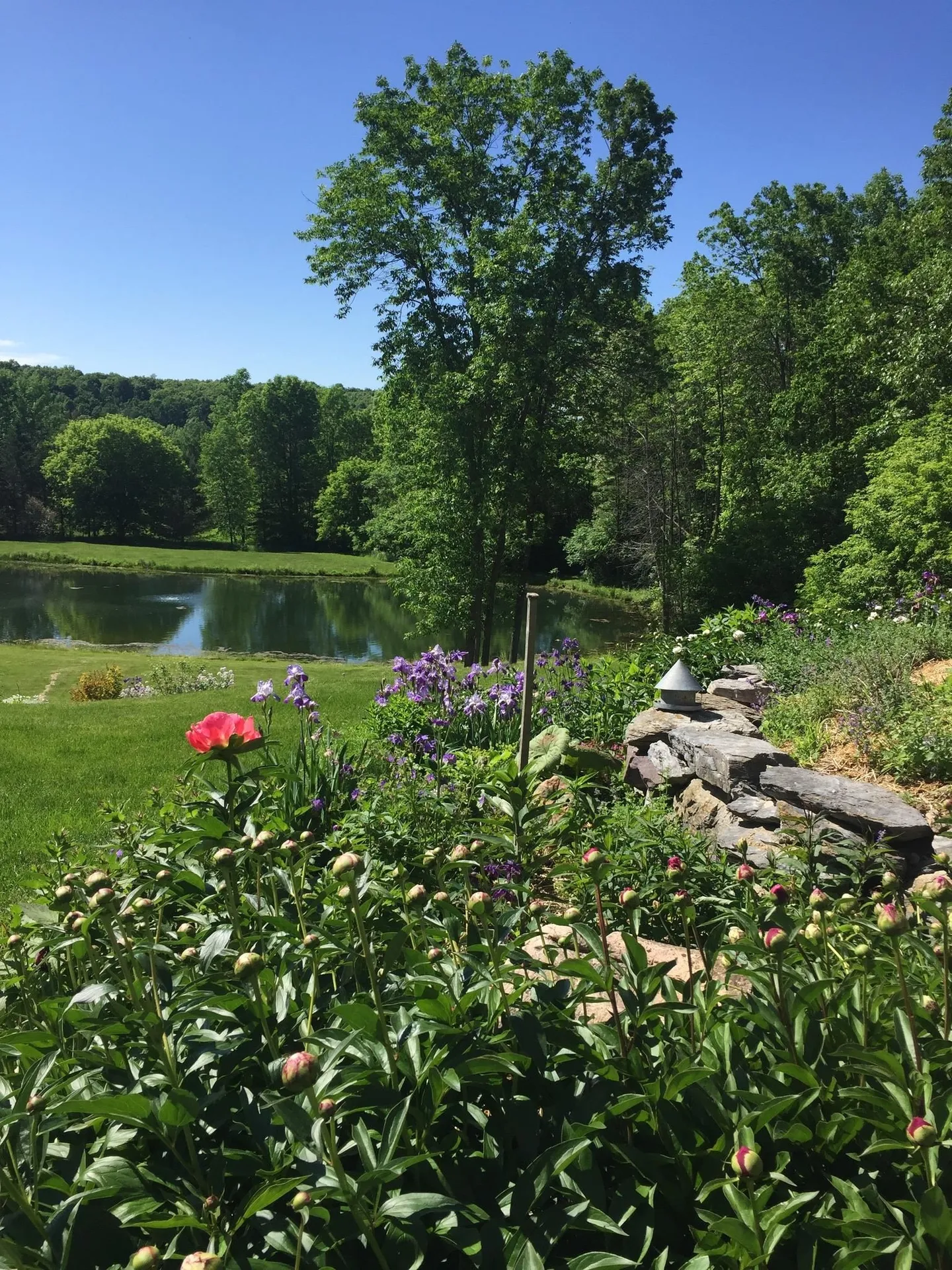 560 Route 30 Cornwall VT 05753