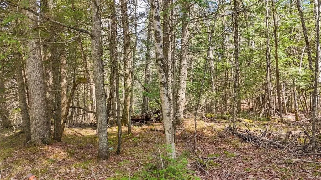 0 East Hill Road East Montpelier VT 05651