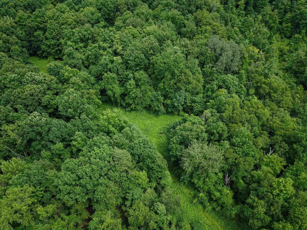 1073 Chapel Road Bennington VT 05201