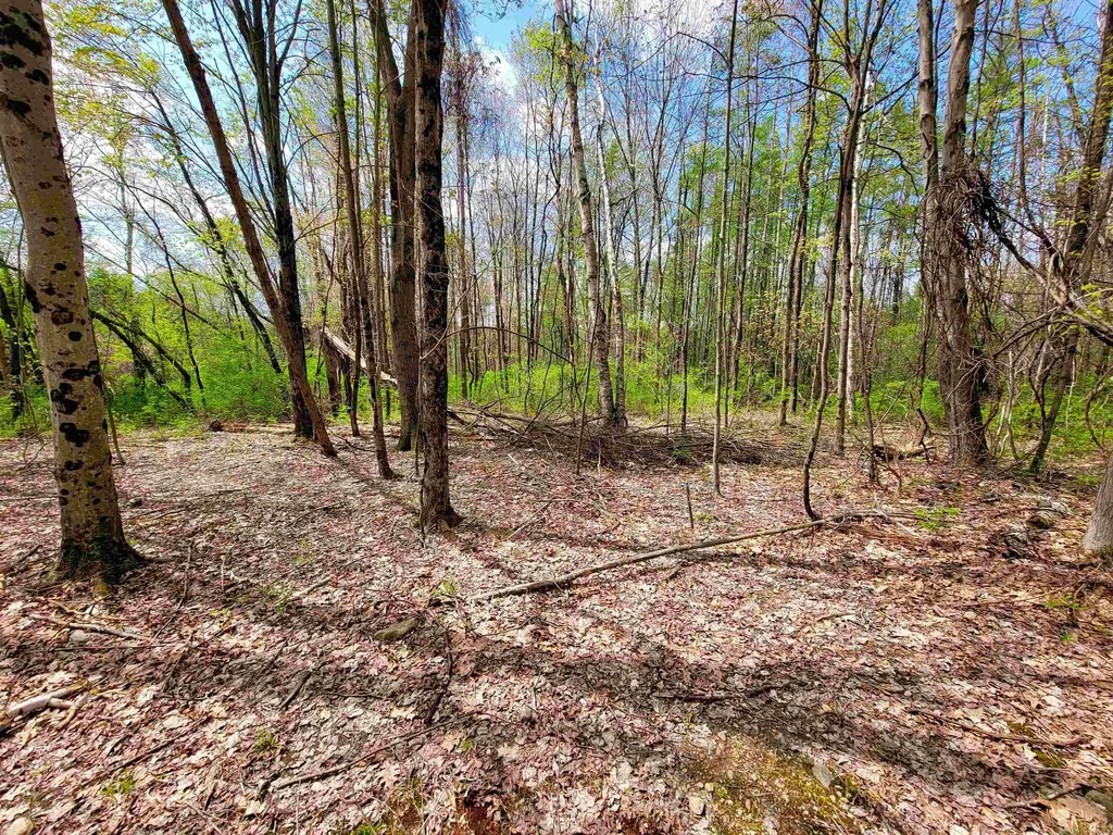 1073 Chapel Road Bennington VT 05201