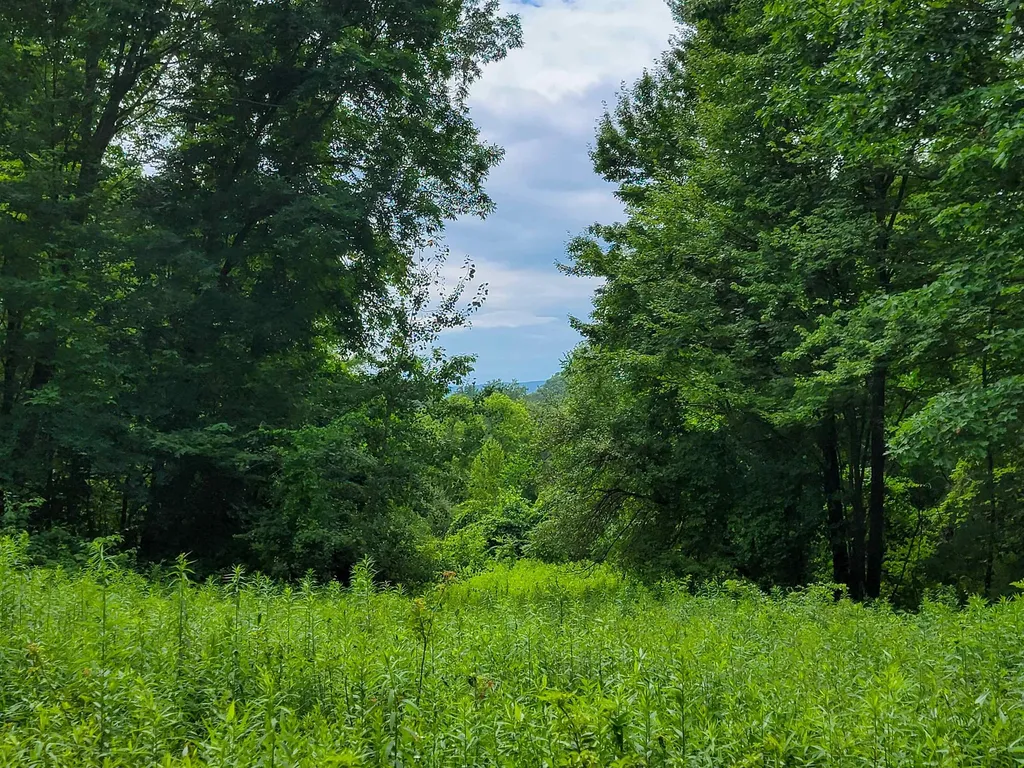 1073 Chapel Road Bennington VT 05201