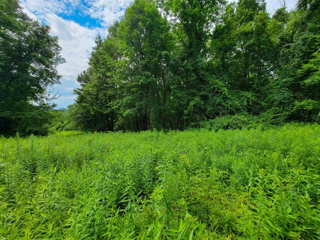 1073 Chapel Road Bennington VT 05201
