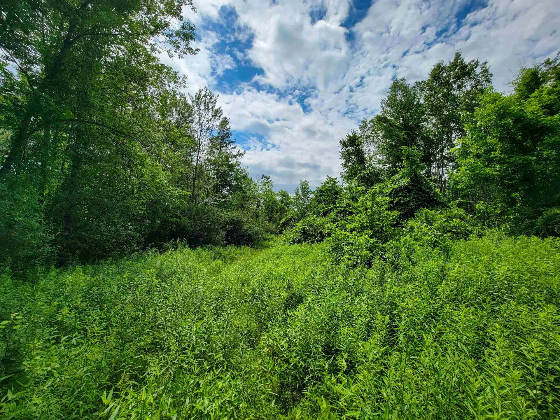 1073 Chapel Road Bennington VT 05201