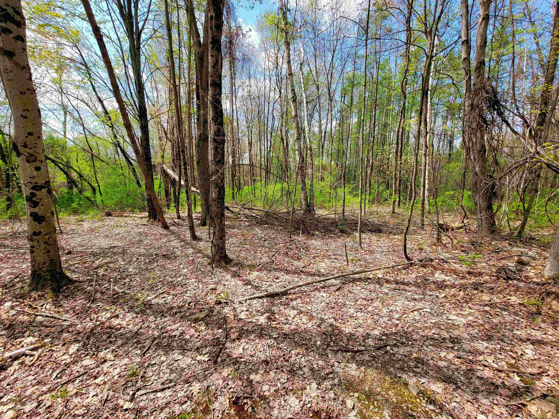 1073 Chapel Road Bennington VT 05201