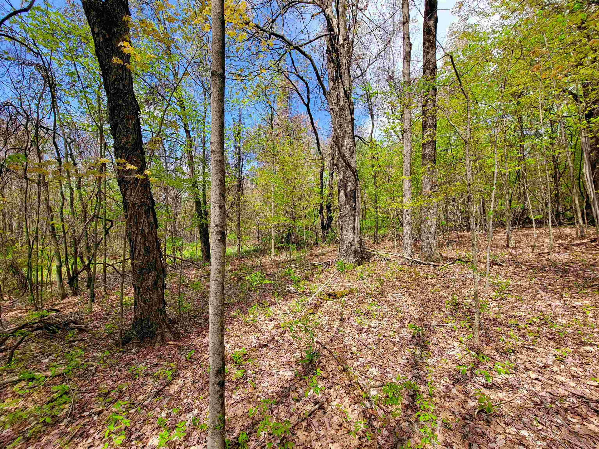 1073 Chapel Road Bennington VT 05201