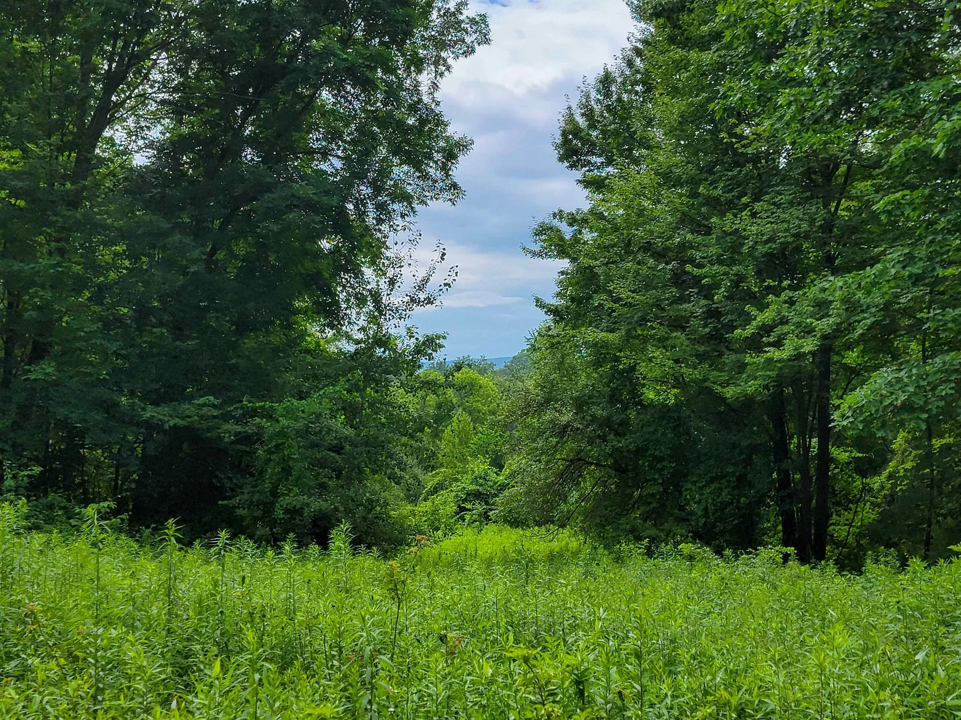 1073 Chapel Road Bennington VT 05201