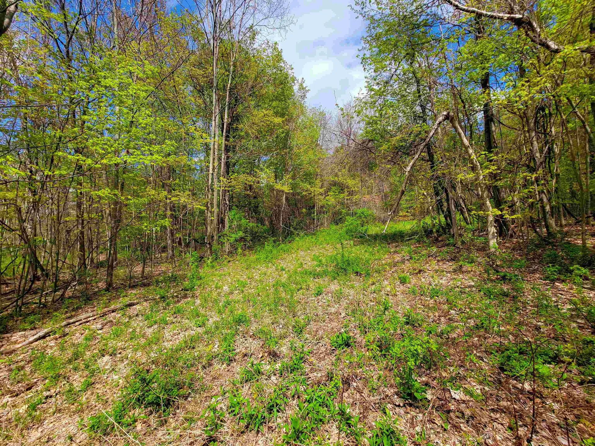 1073 Chapel Road Bennington VT 05201