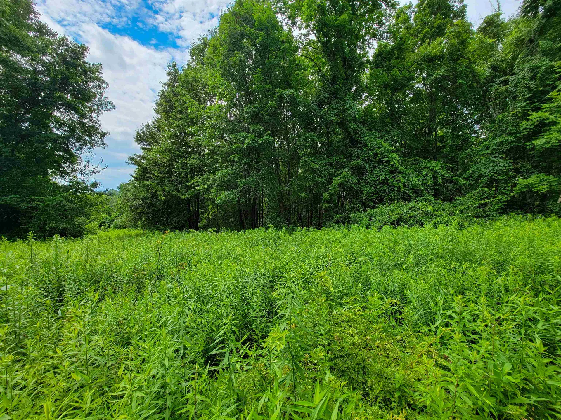1073 Chapel Road Bennington VT 05201