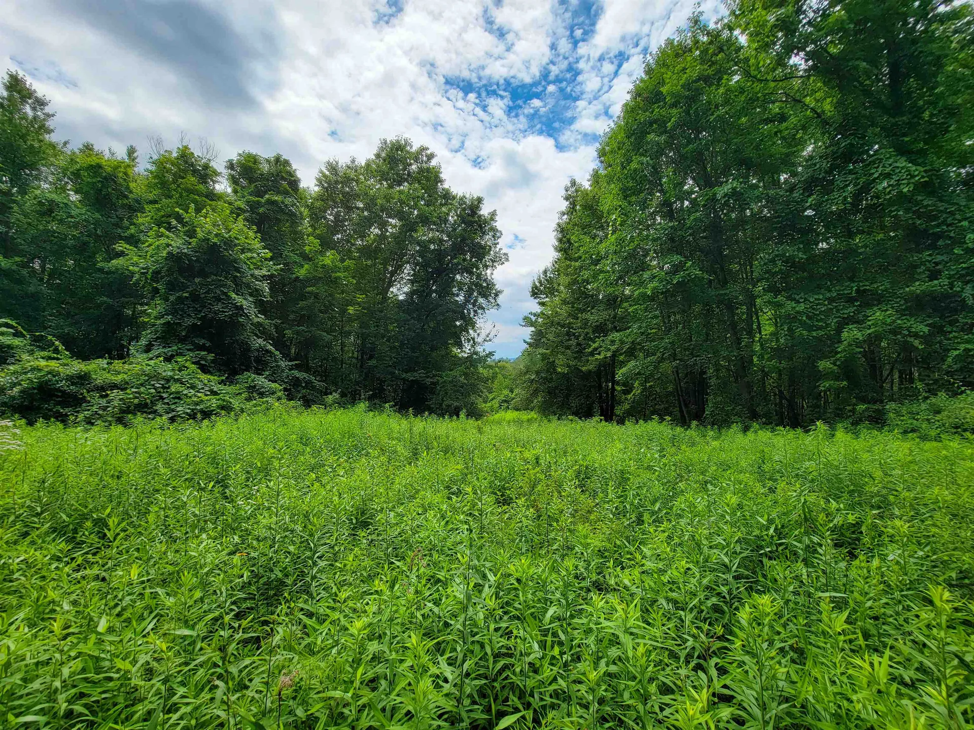 1073 Chapel Road Bennington VT 05201