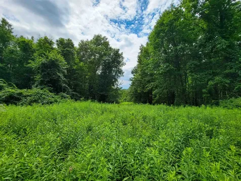 1073 Chapel Road Bennington VT 05201