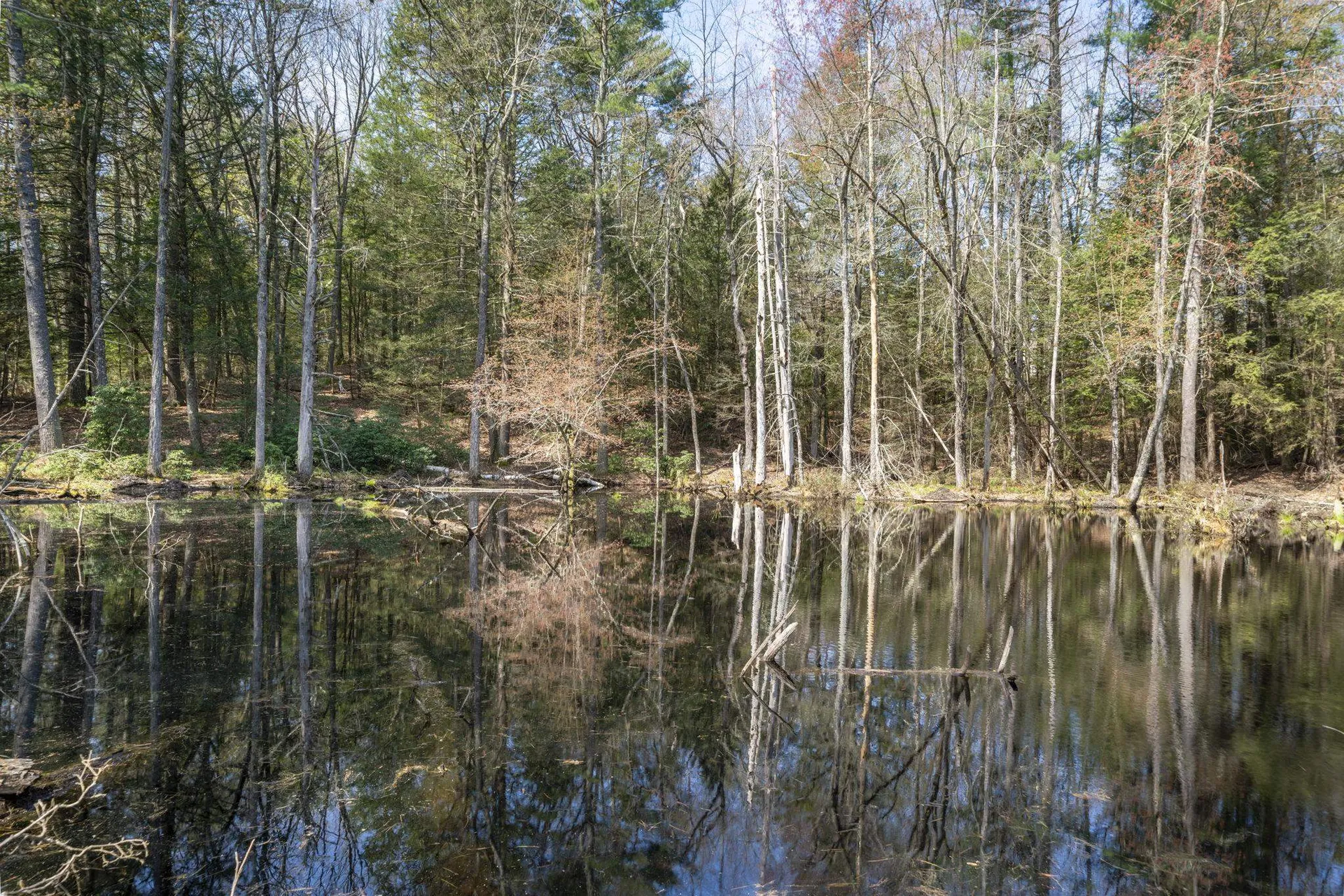 34 Cleveland Hill Road Brookline NH 03033