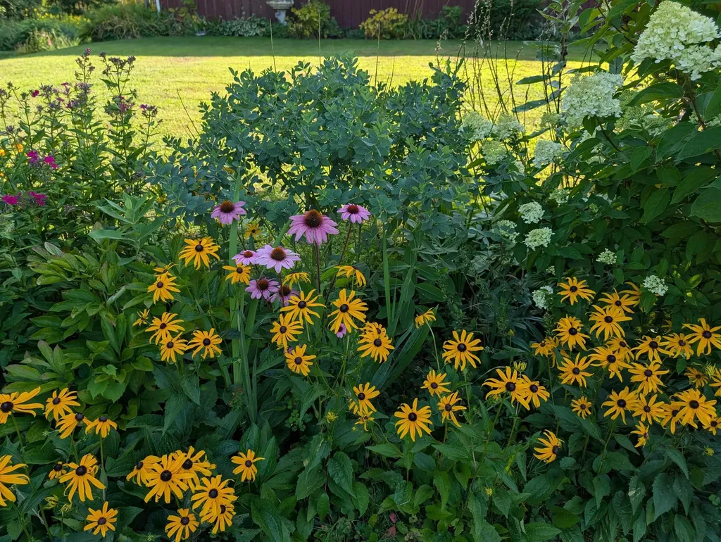 163 Martin Meadow Road Plainfield VT 05667