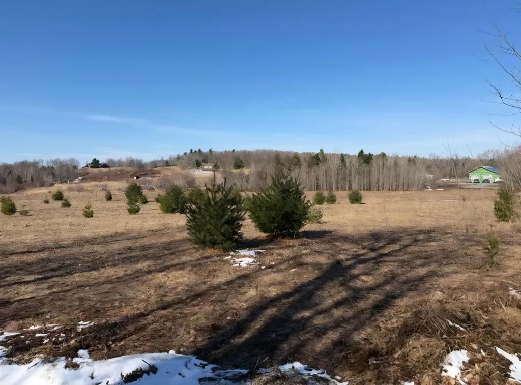 0 Fox Meadow Lane Wolcott VT 05680