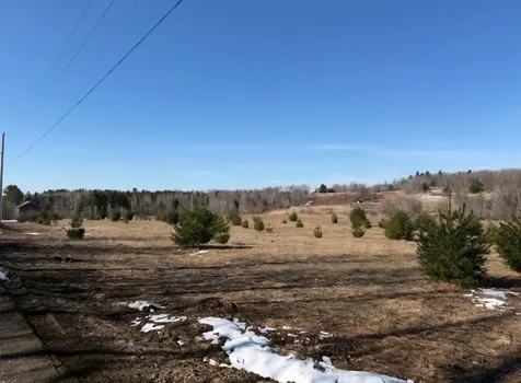 0 Fox Meadow Lane Wolcott VT 05680