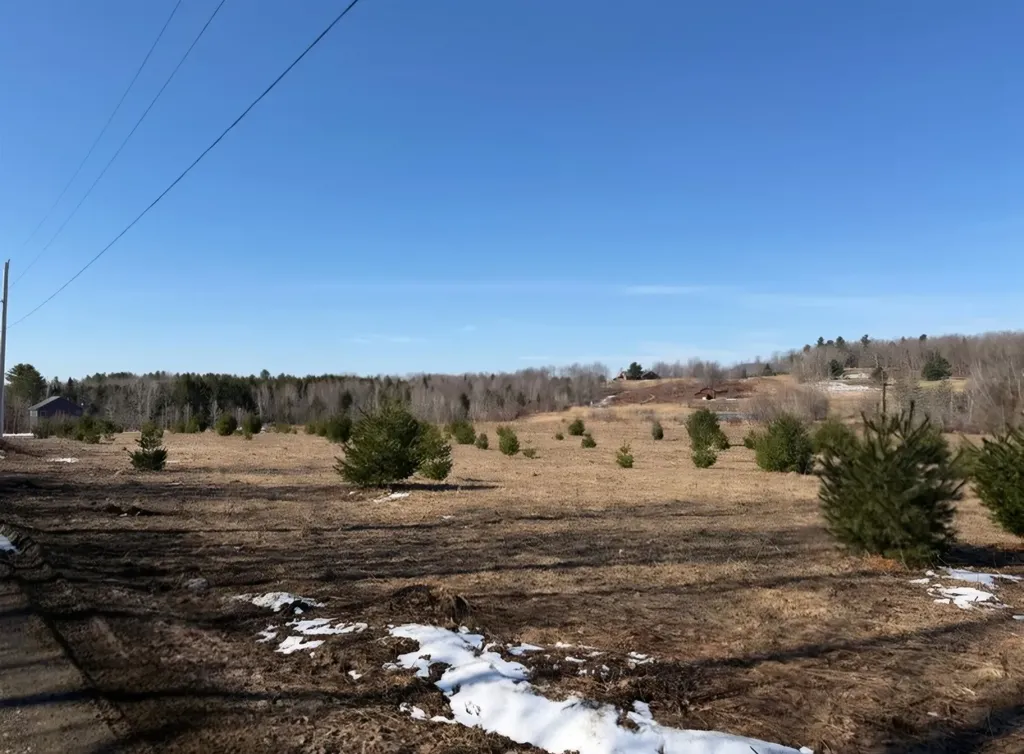 0 Fox Meadow Lane Wolcott VT 05680