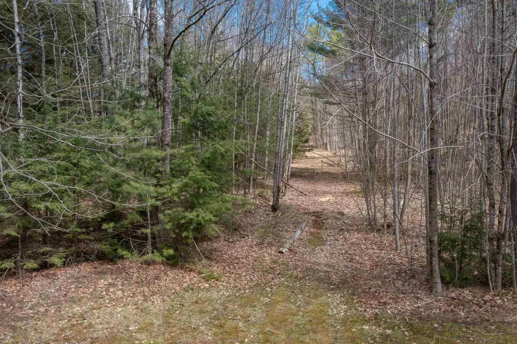 3/14 Lloyd Street Campton NH 03223