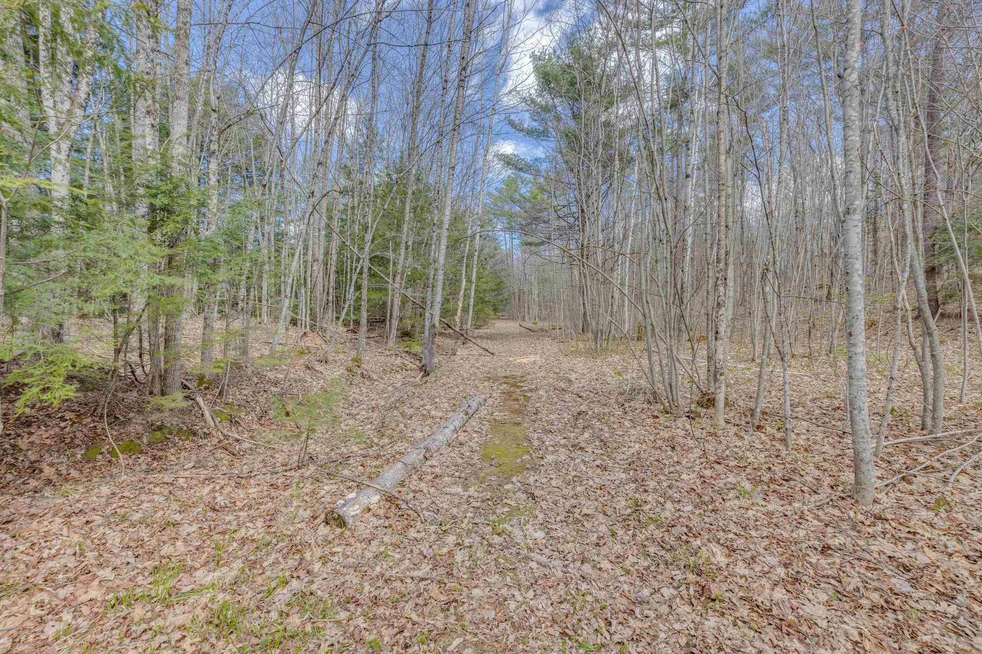 3/14 Lloyd Street Campton NH 03223