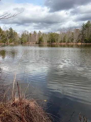 38 Caleb Drive Danville NH 03819