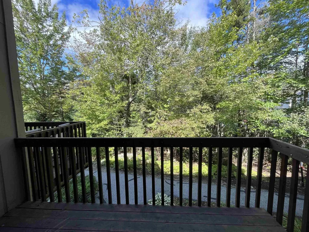 38 Windsor Hill Way Waterville Valley NH 03215