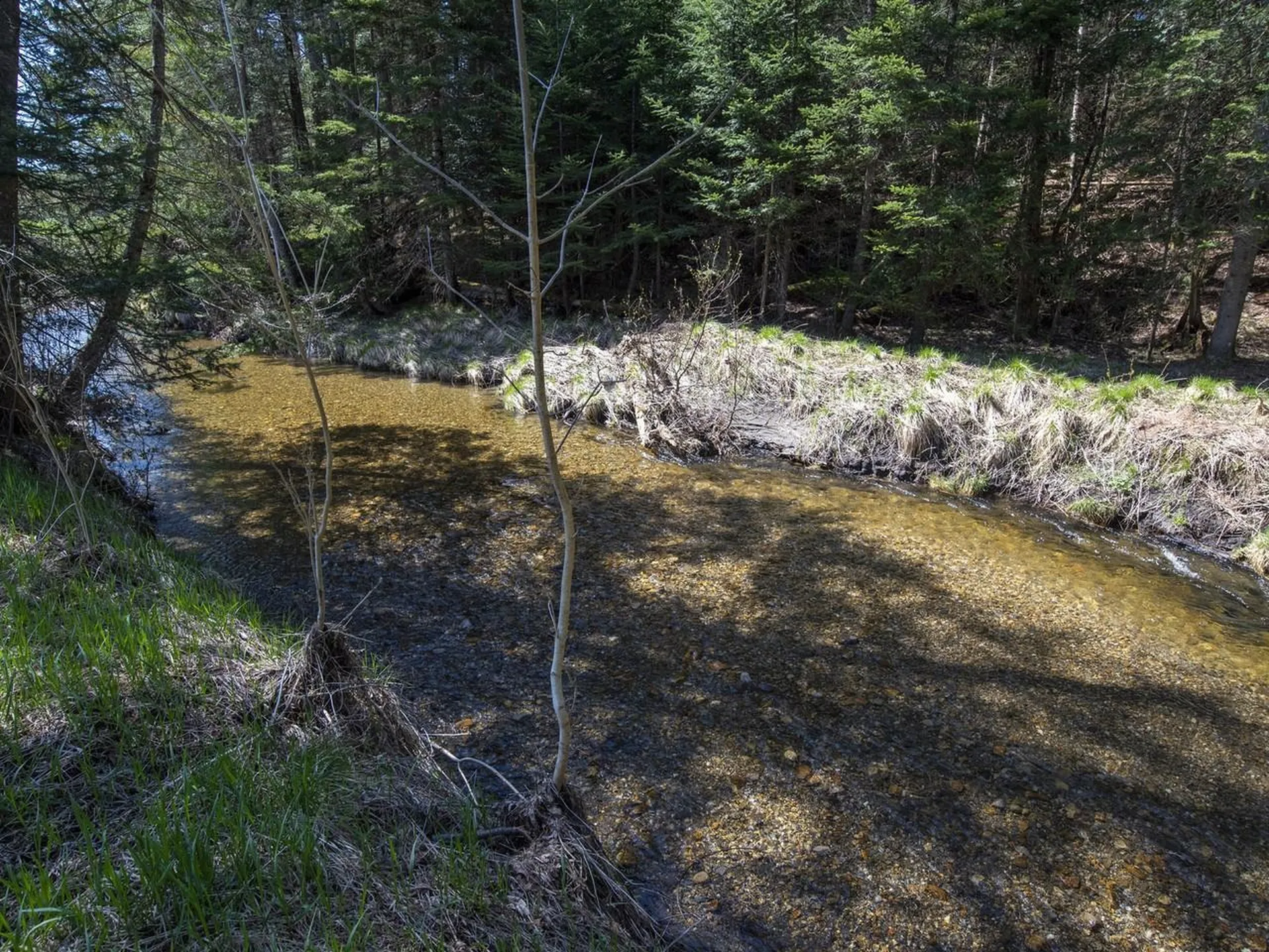 4614 Brook Road Plainfield VT 05667