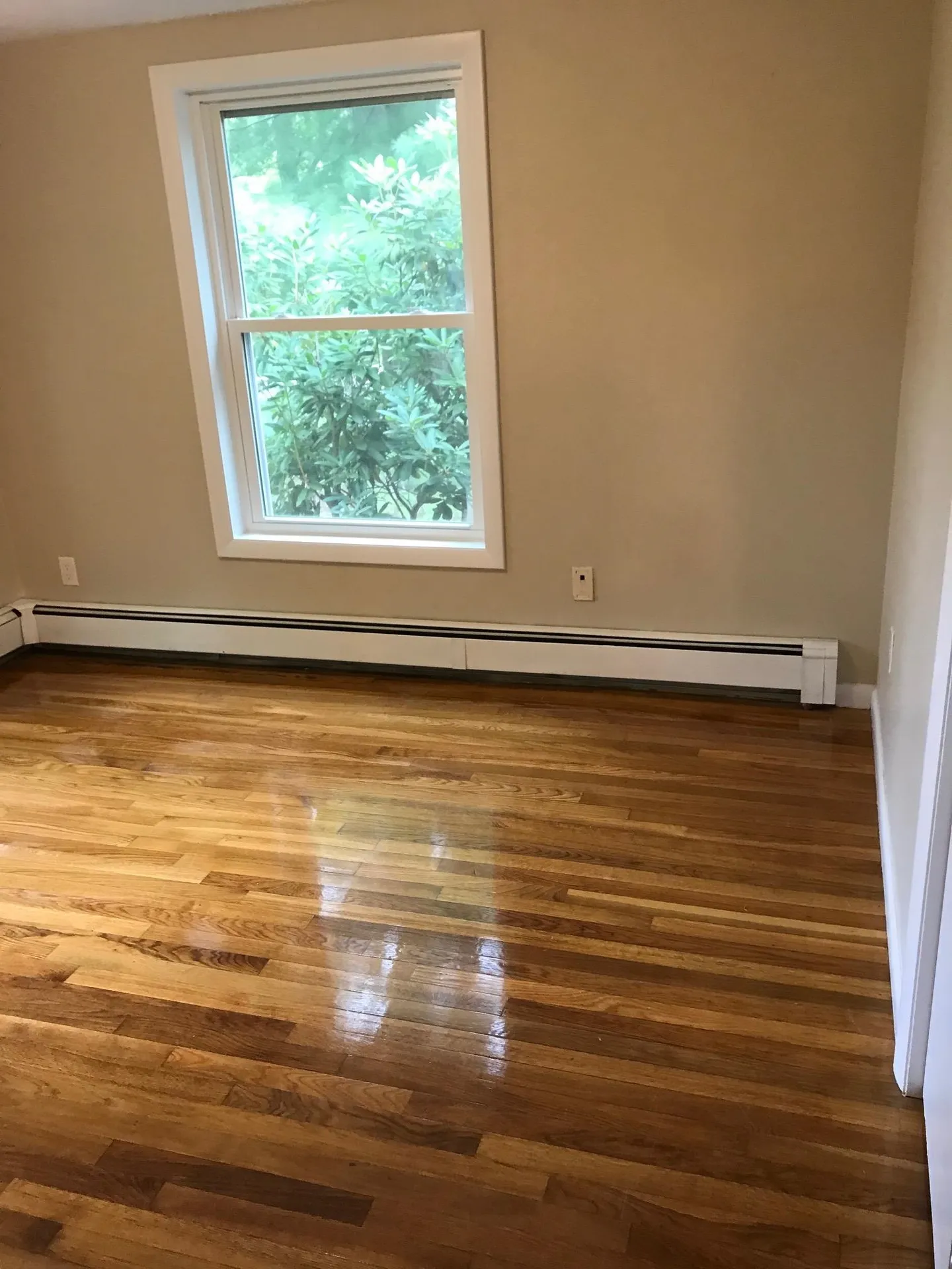 243 Shore Drive Salem NH 03079