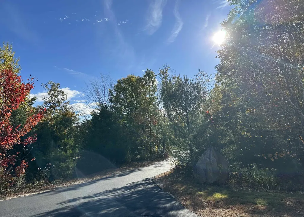 76 Curries Way Brookfield NH 03872