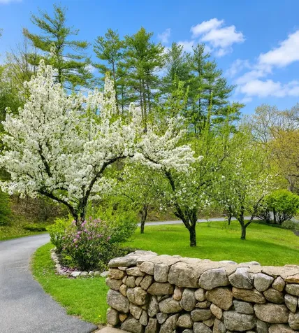 107 Fresh Pond Lane Brookline NH 03033