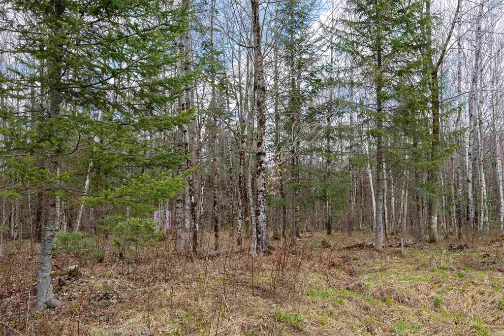 1031 Ladd Road Concord VT 05824