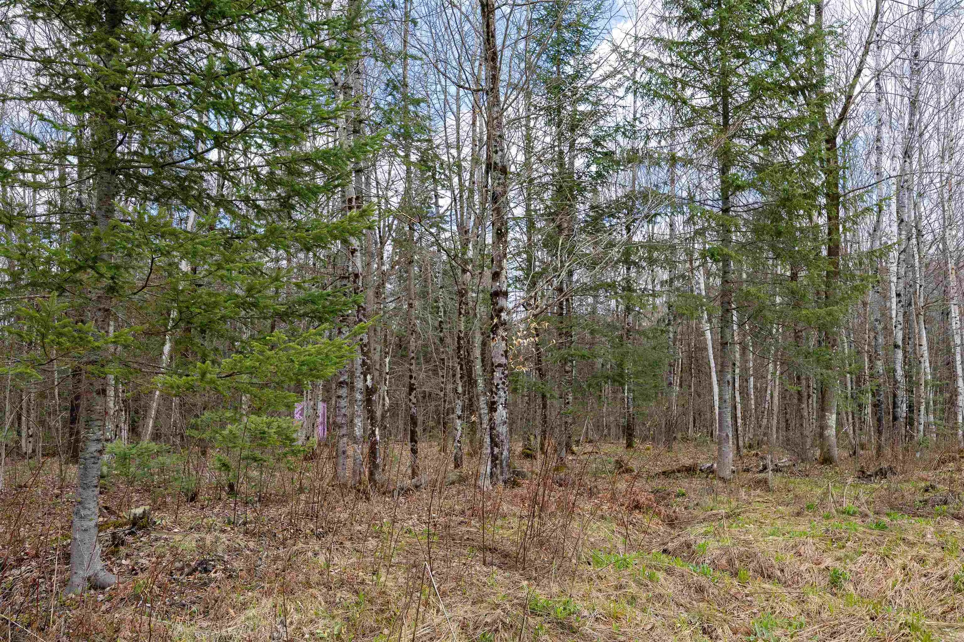 1031 Ladd Road Concord VT 05824