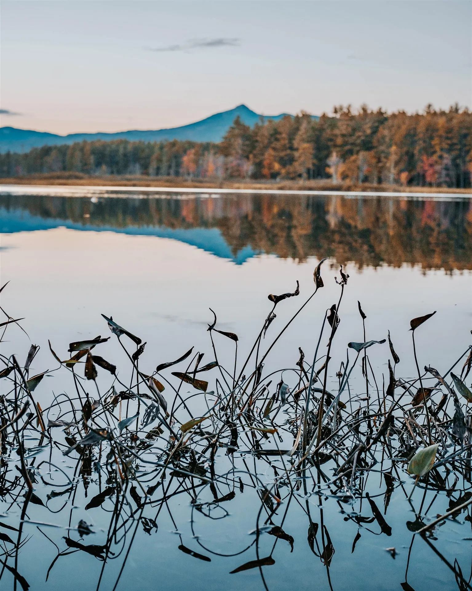 178 East Chocorua River Drive Tamworth NH 03886