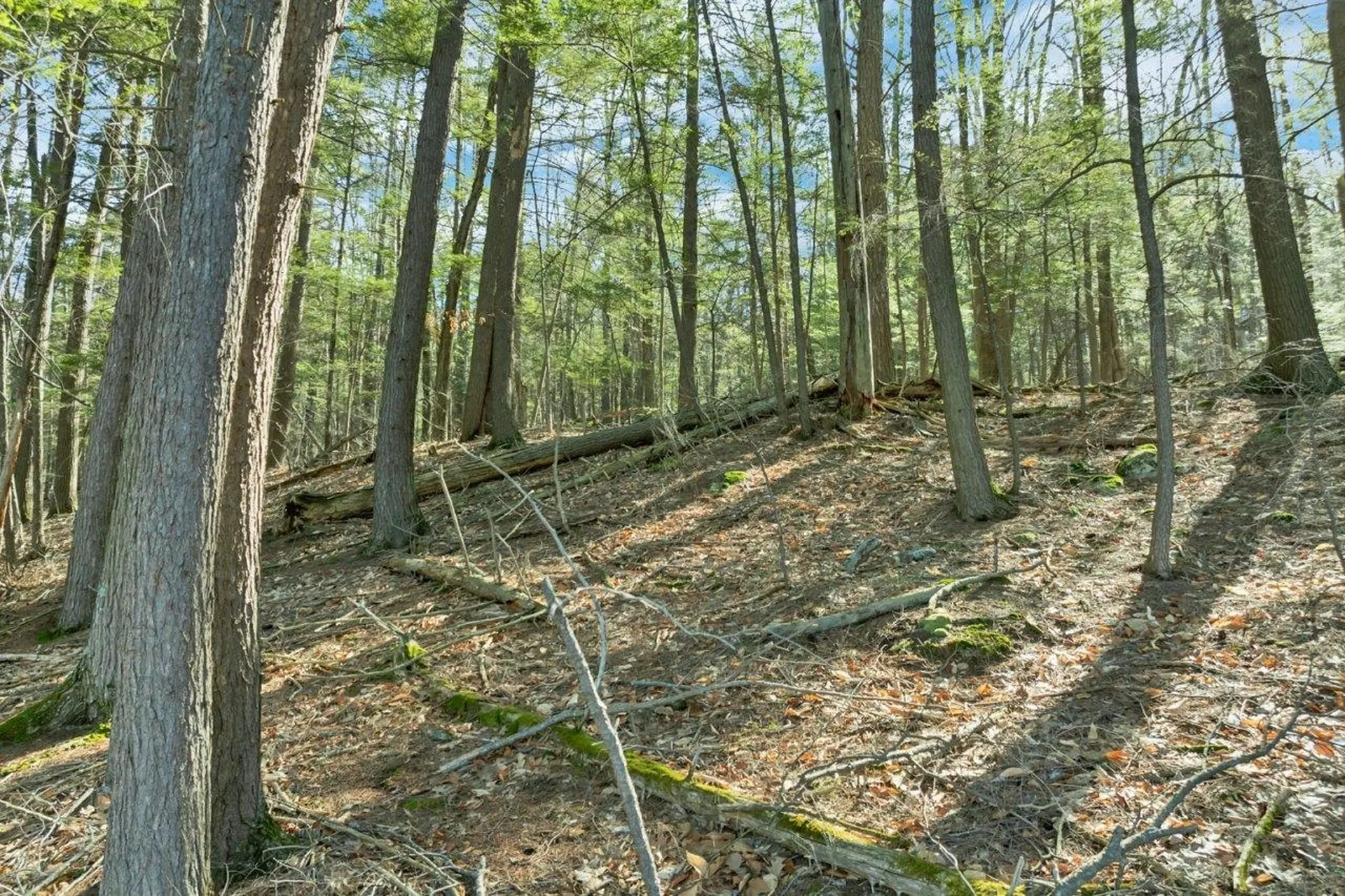 0 Pinnacle Park Road Meredith NH 03253