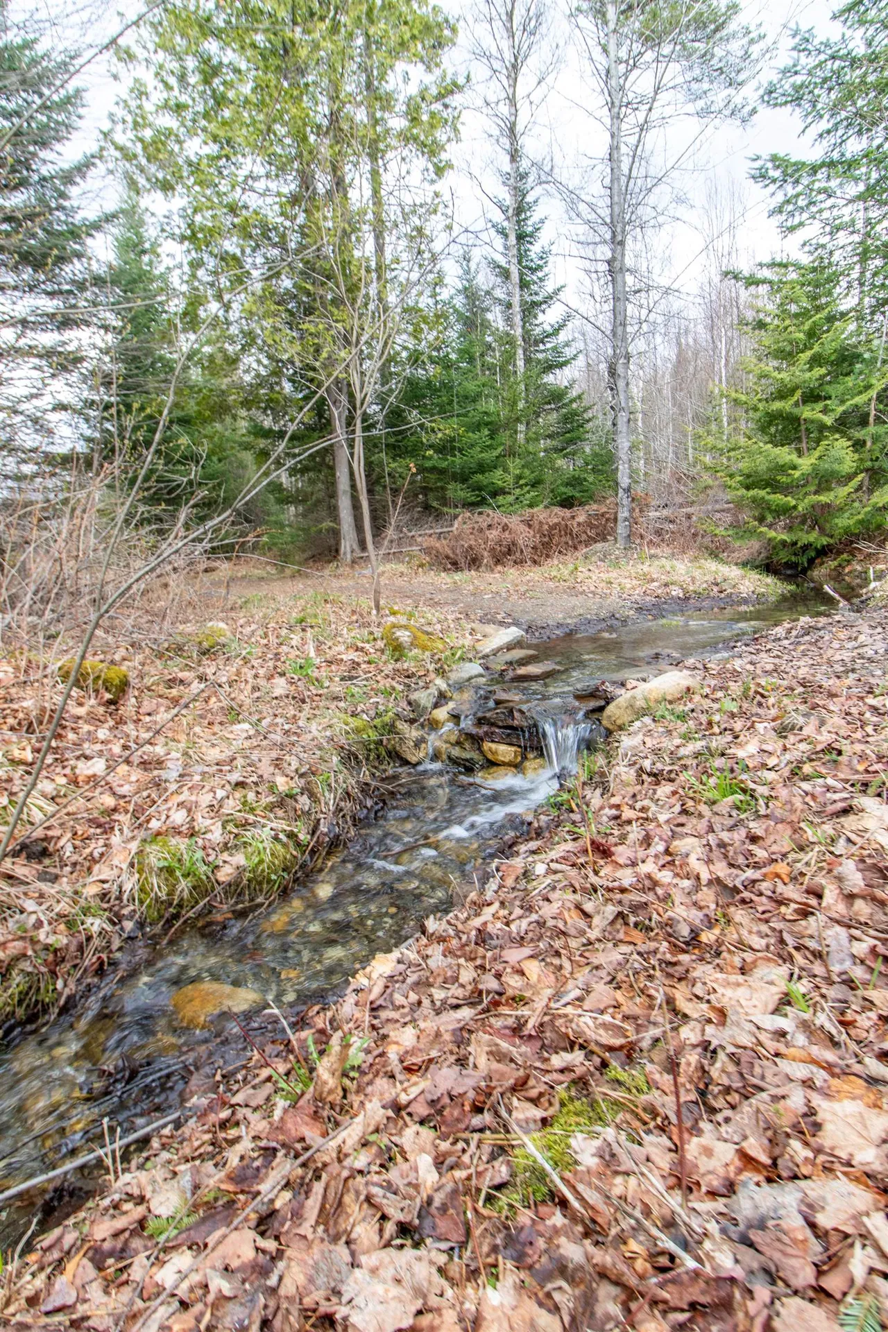 27 Baird Road Newark VT 05871