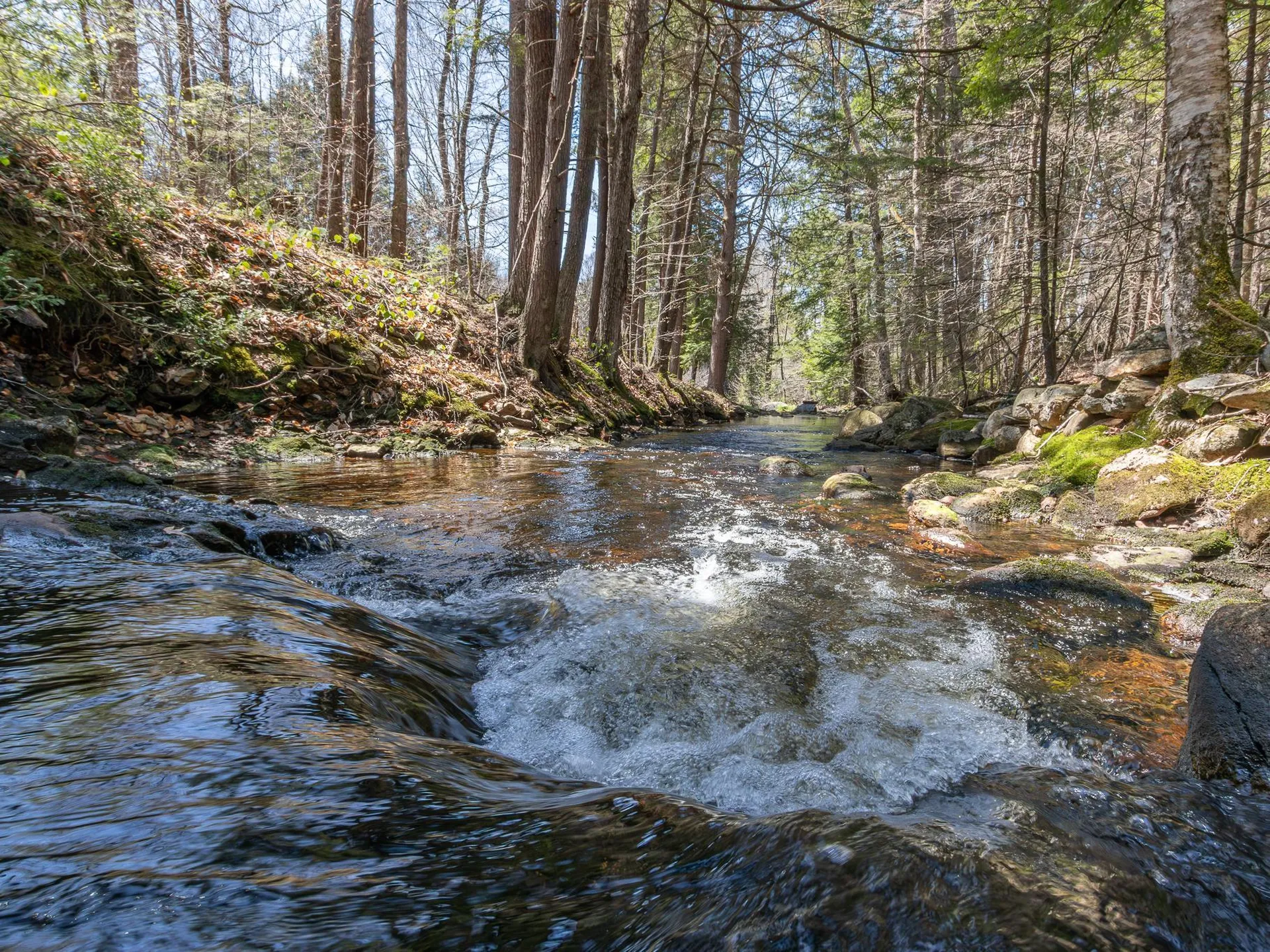 100 Tully Brook Road Richmond NH 03470