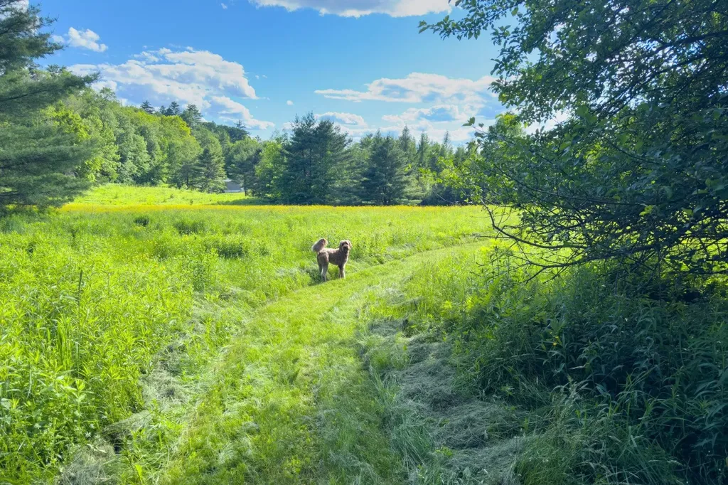 994 Pearl Lake Road Sugar Hill NH 03586